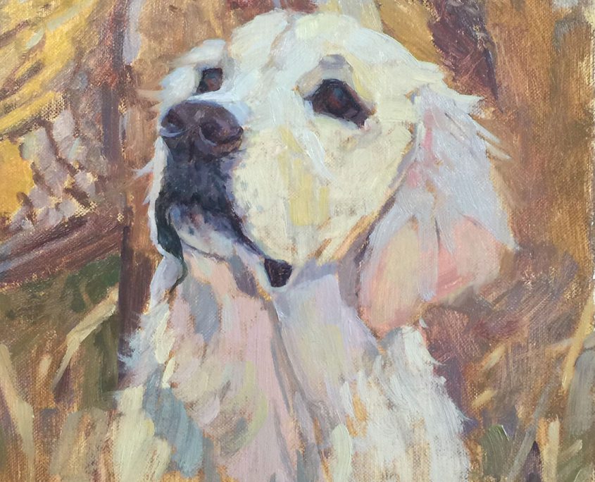 Portrait of a Hunting Dog, Scout